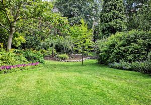 Optimiser l'expérience du jardin à Estourmel